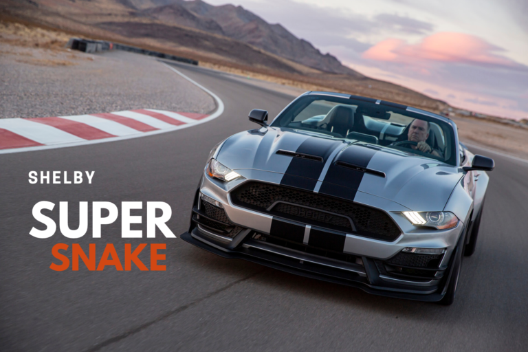 SHELBY SUPER SNAKE : BE BOLD